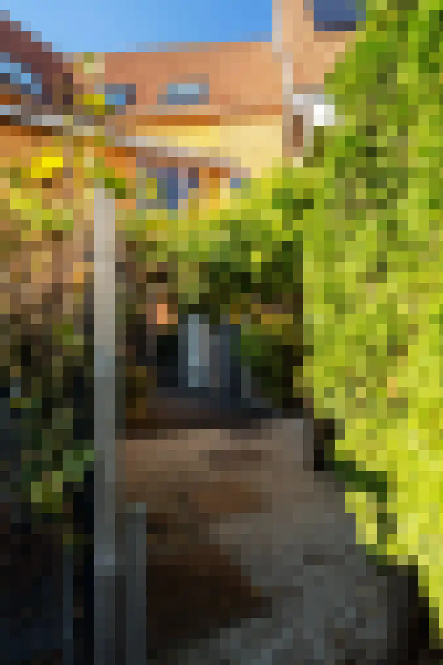 Ringslang 100 Amstelveen thumbnail 31