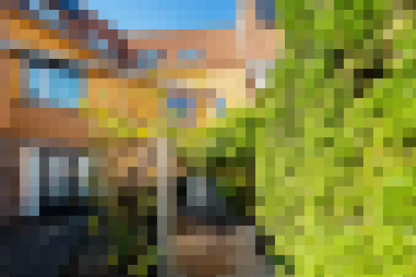 Ringslang 100 Amstelveen thumbnail 32