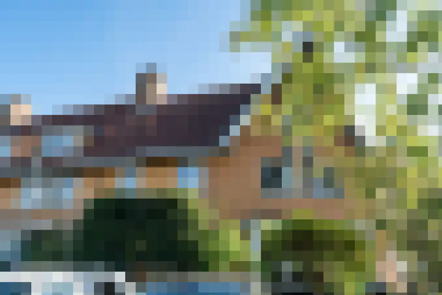 Ringslang 100 Amstelveen thumbnail 33