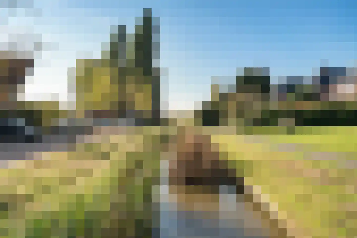 Ringslang 100 Amstelveen thumbnail 34