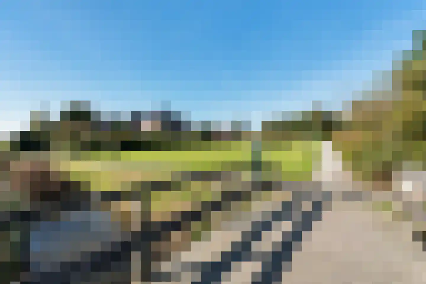 Ringslang 100 Amstelveen thumbnail 35