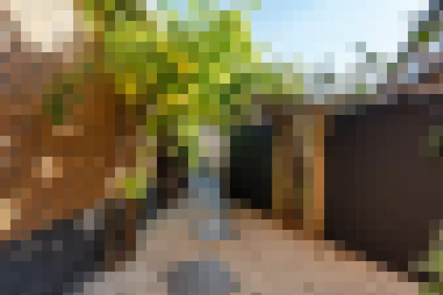 Ringslang 100 Amstelveen thumbnail 8