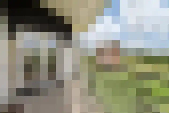 Ringslang 179 Amstelveen thumbnail 19