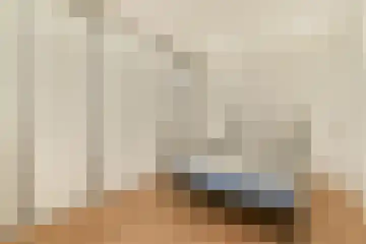 Ringslang 179 Amstelveen thumbnail 33