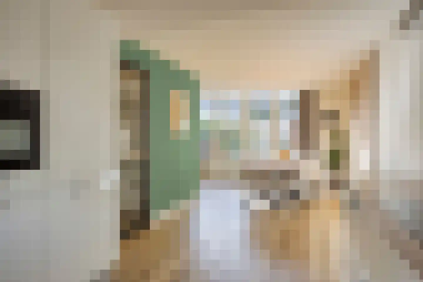 Ringslang 25 Amersfoort thumbnail 12
