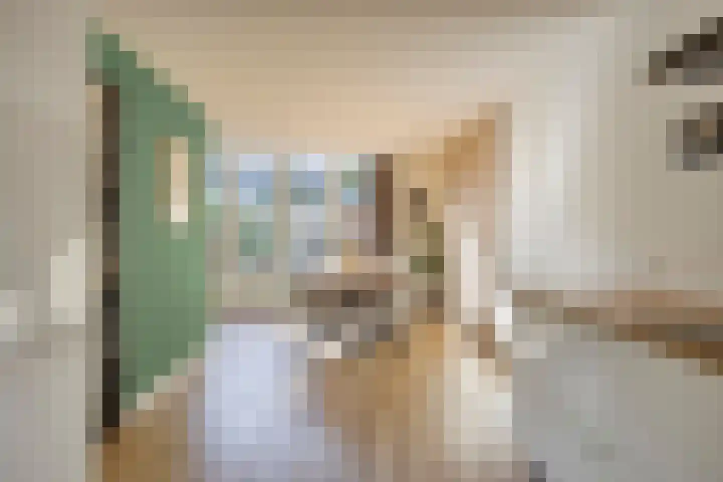 Ringslang 25 Amersfoort thumbnail 13