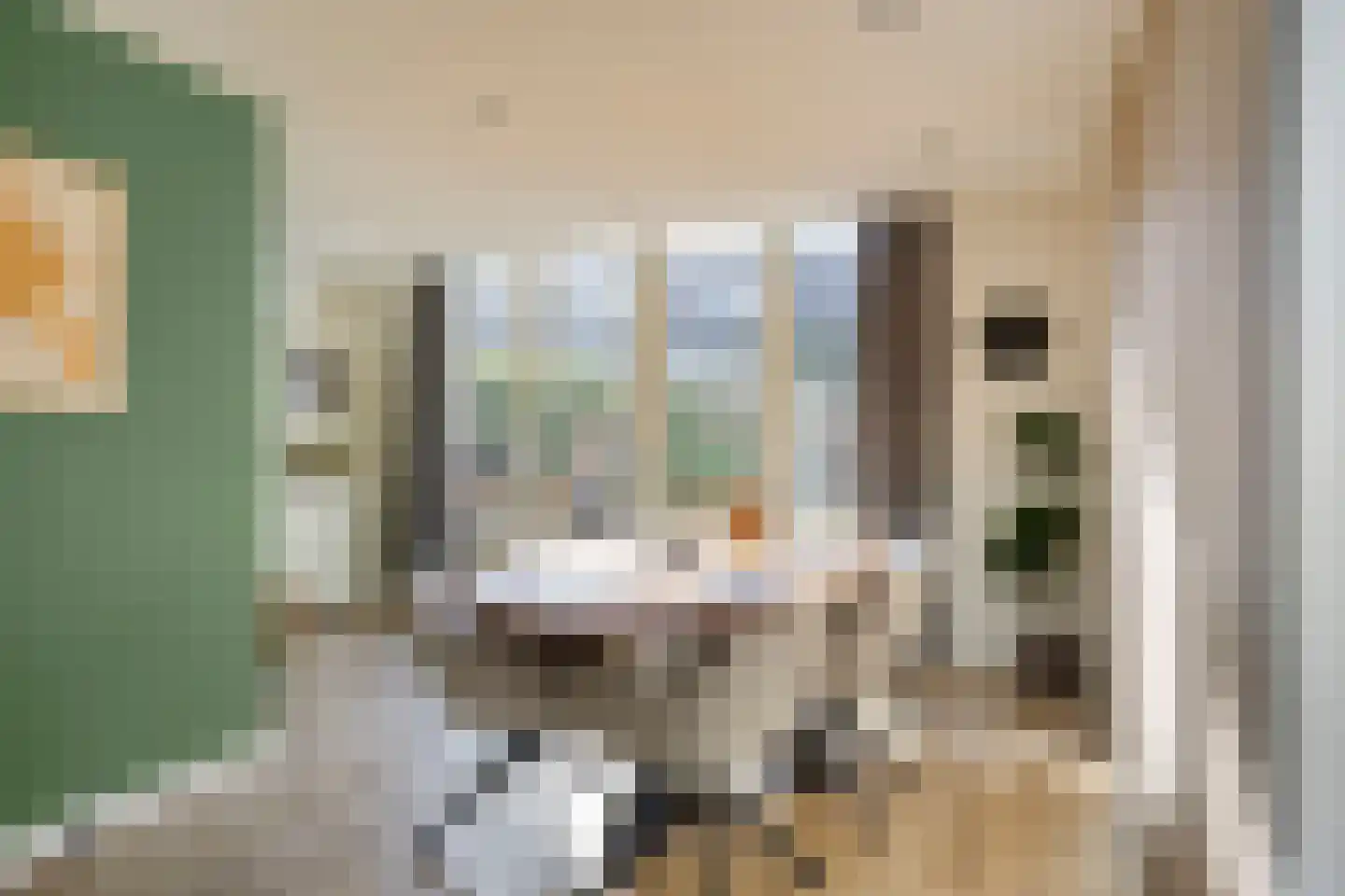 Ringslang 25 Amersfoort thumbnail 14