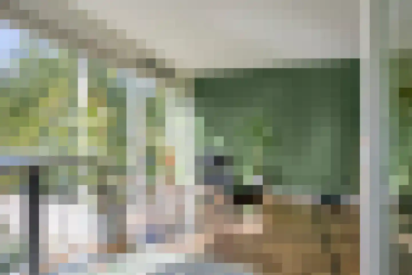 Ringslang 25 Amersfoort thumbnail 28