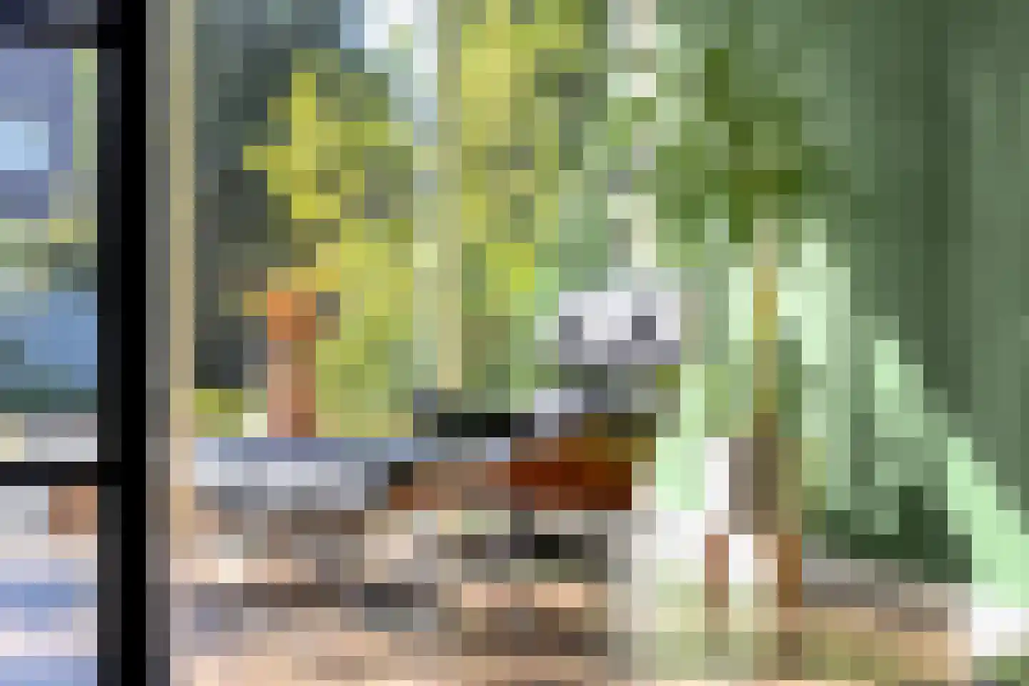 Ringslang 25 Amersfoort thumbnail 29