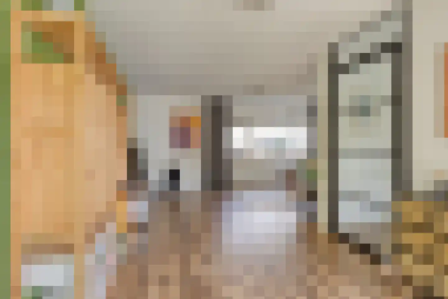 Ringslang 25 Amersfoort thumbnail 30