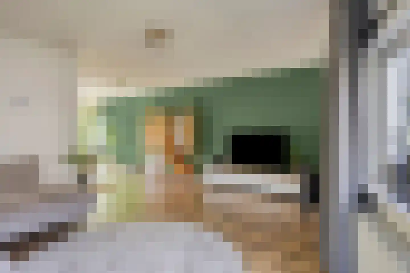 Ringslang 25 Amersfoort thumbnail 33