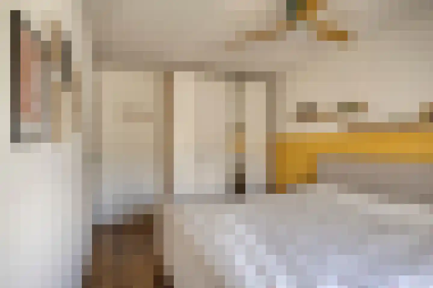Ringslang 25 Amersfoort thumbnail 37