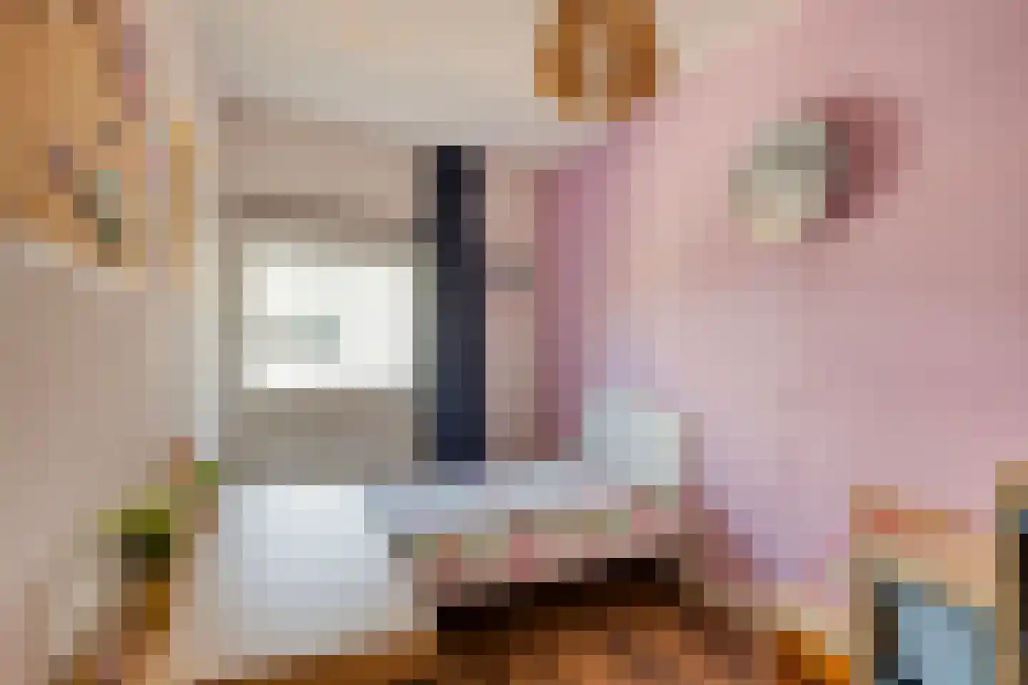Ringslang 25 Amersfoort thumbnail 40