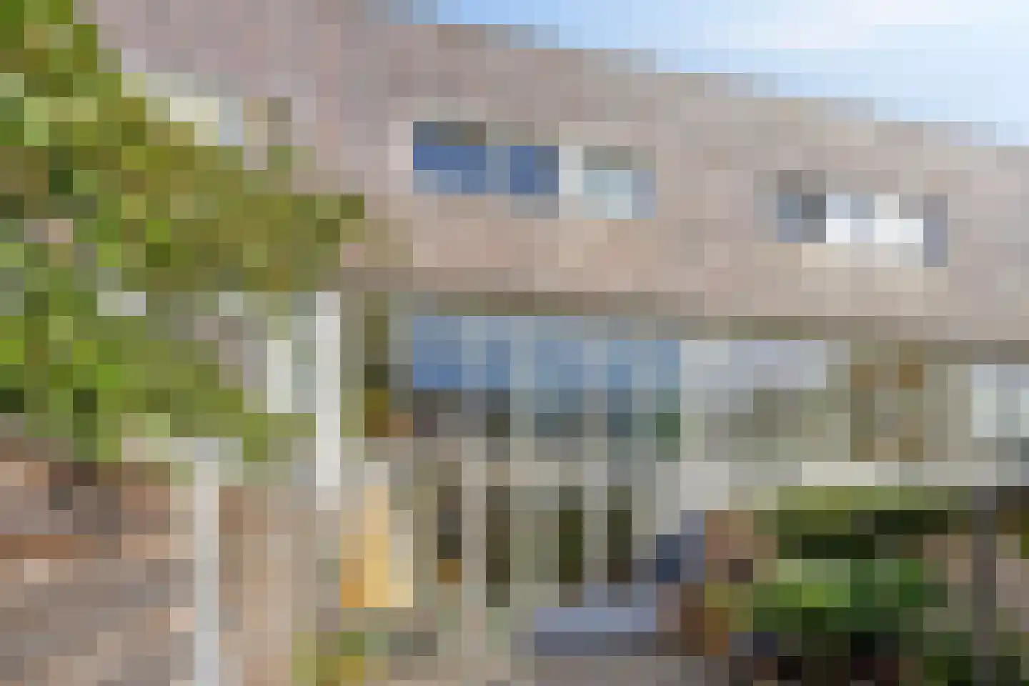 Ringslang 25 Amersfoort thumbnail 43