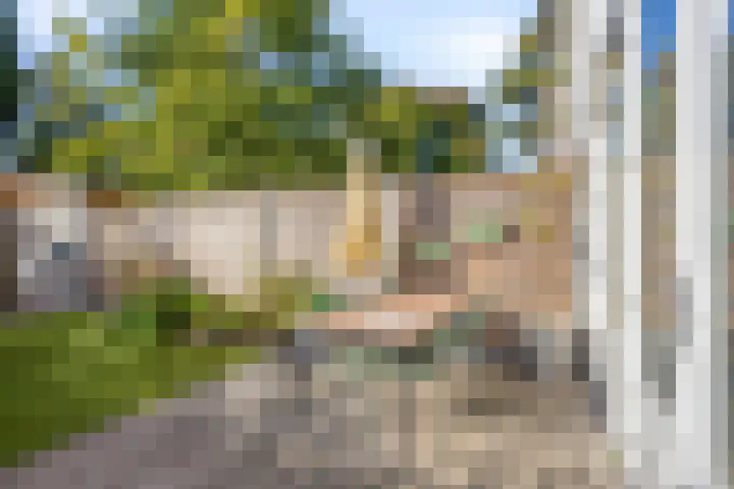 Ringslang 25 Amersfoort thumbnail 45