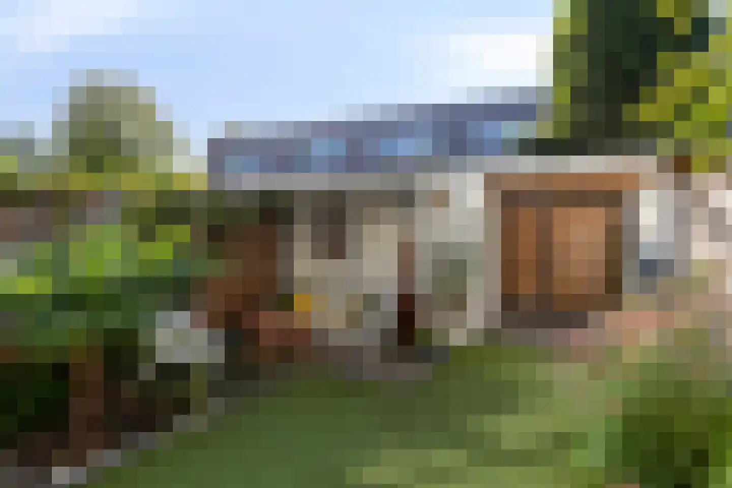 Ringslang 25 Amersfoort thumbnail 46