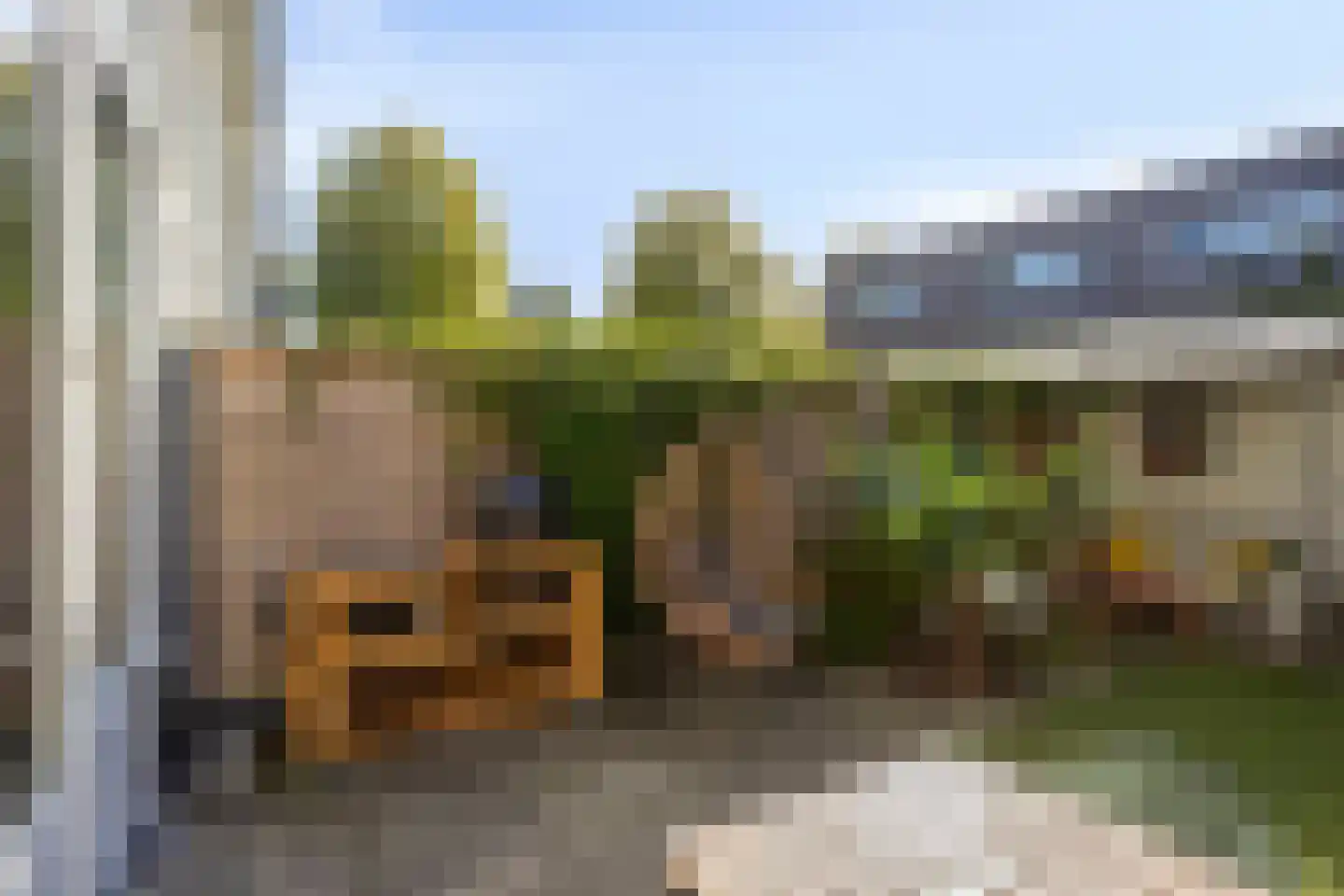 Ringslang 25 Amersfoort thumbnail 47