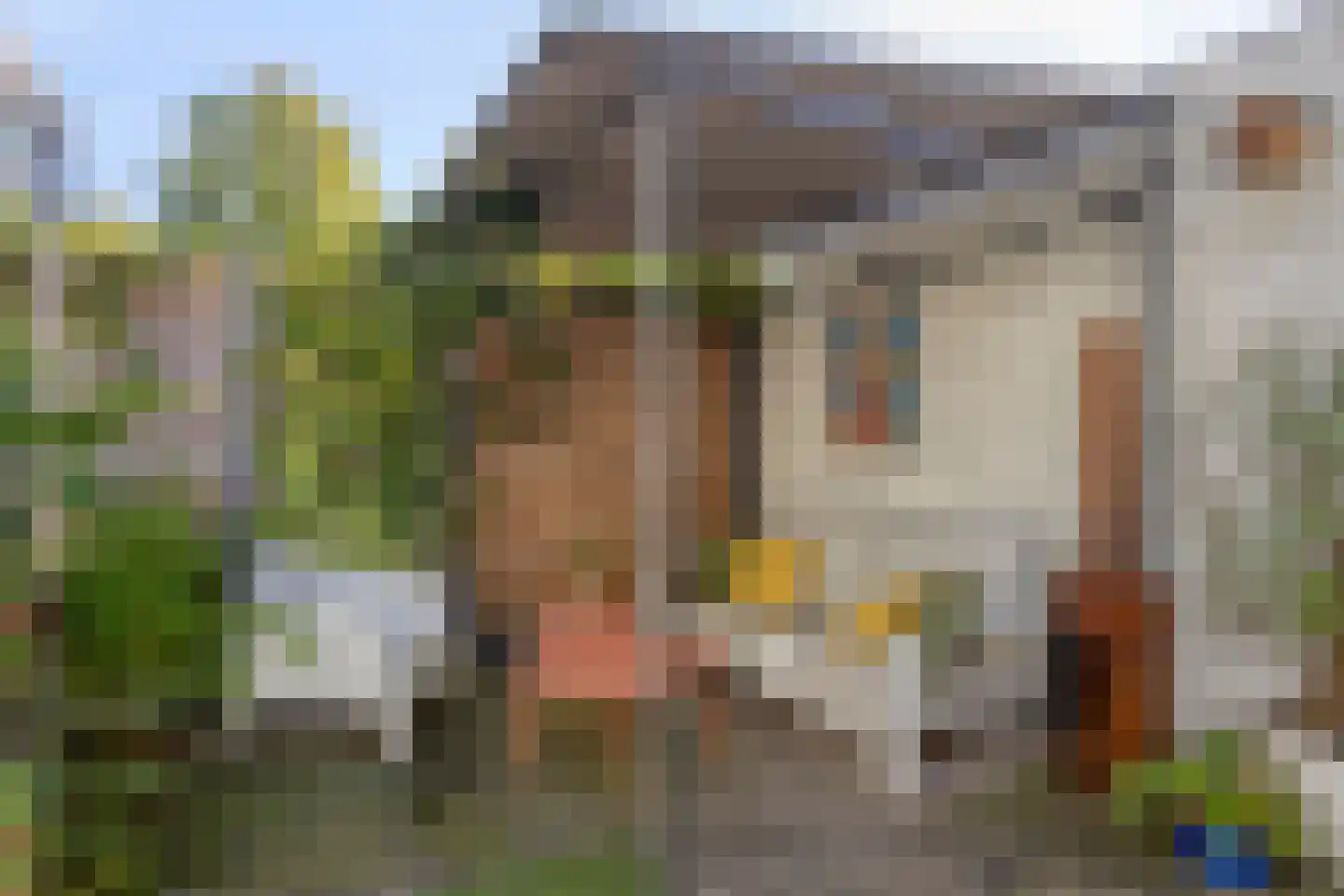 Ringslang 25 Amersfoort thumbnail 48