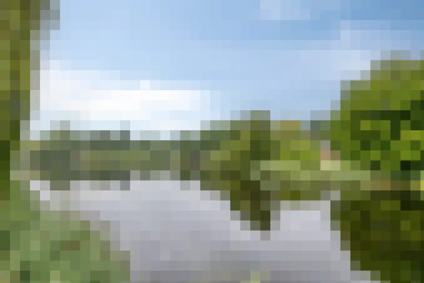 Ringslang 25 Amersfoort thumbnail 51