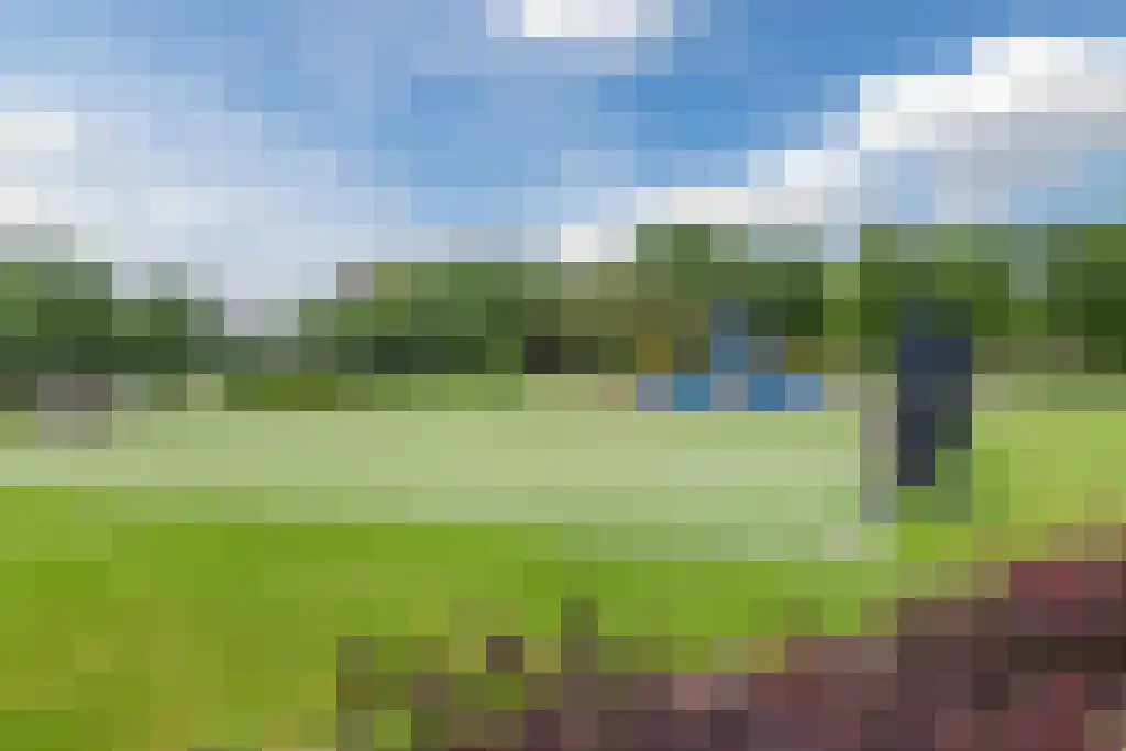 Ringslang 25 Amersfoort thumbnail 53