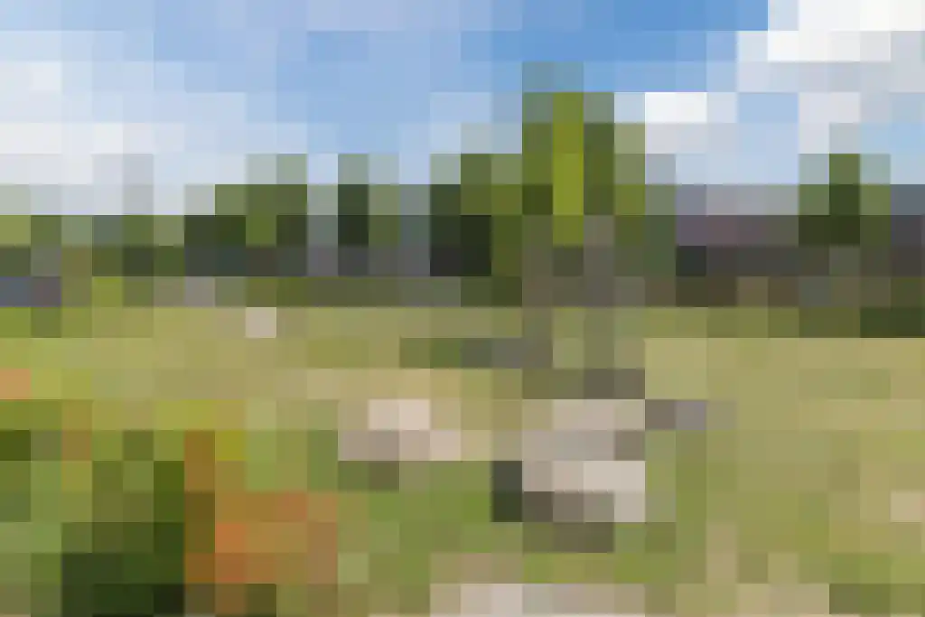 Ringslang 25 Amersfoort thumbnail 54