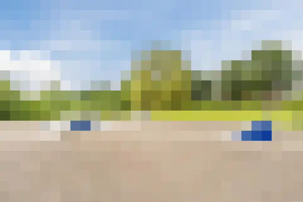 Ringslang 25 Amersfoort thumbnail 55