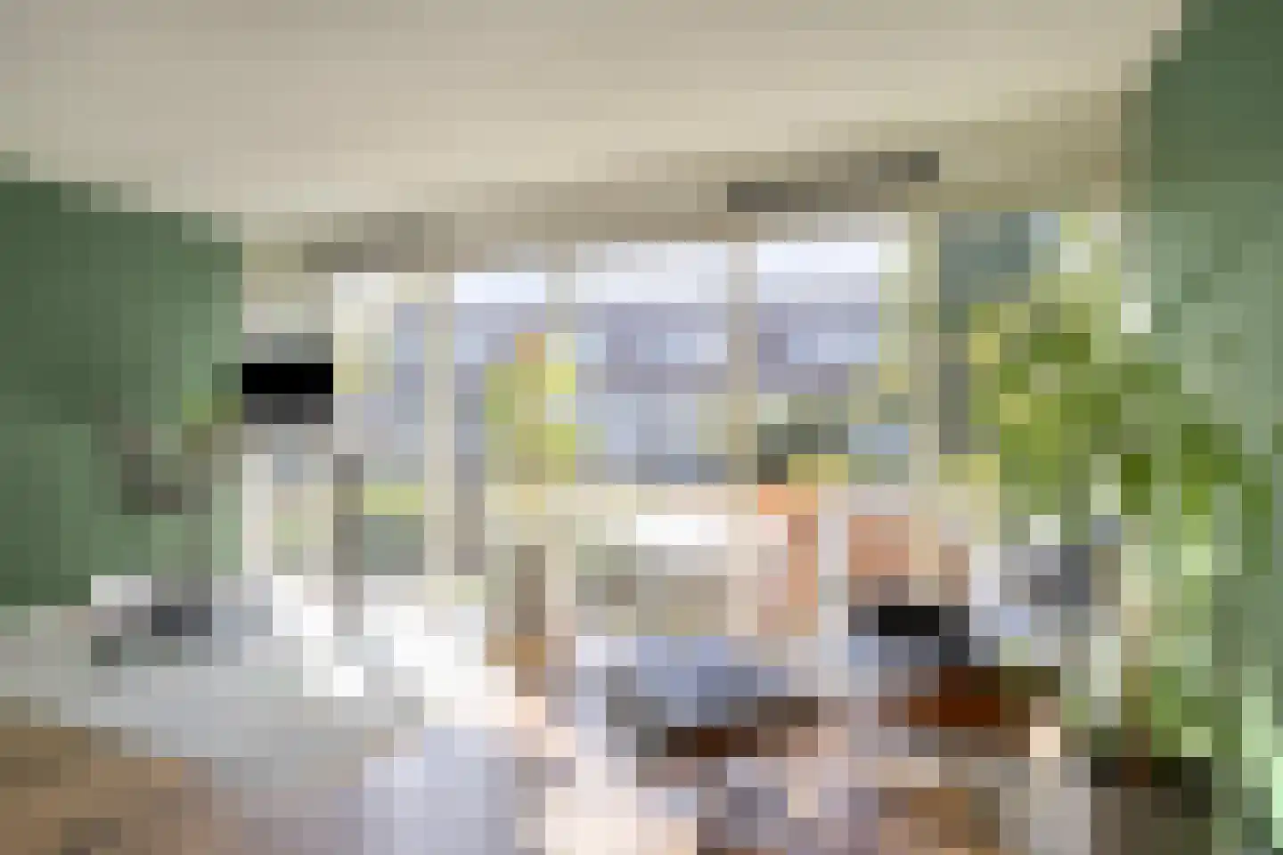 Ringslang 25 Amersfoort thumbnail 6