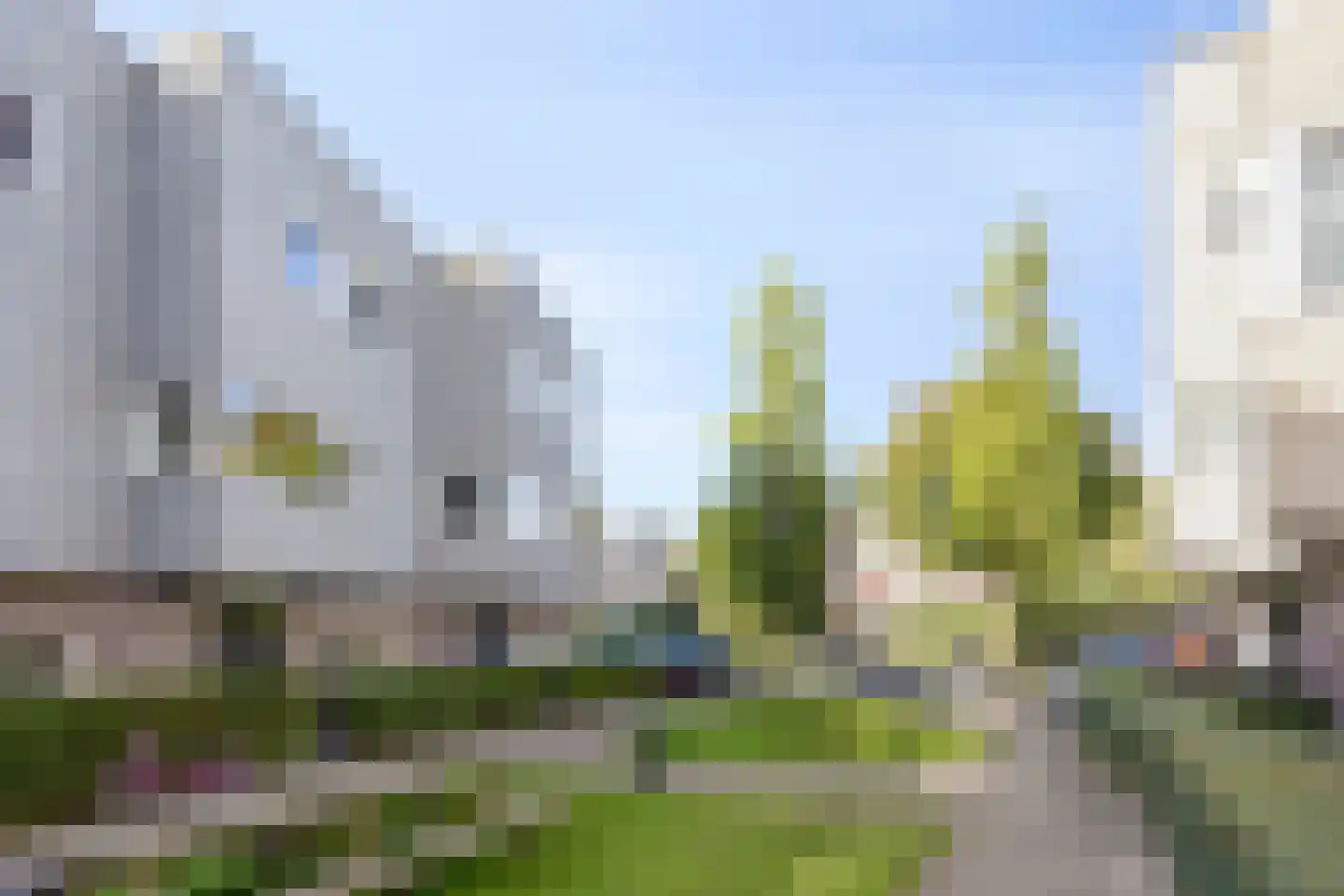 Ringslang 25 Amersfoort thumbnail 7