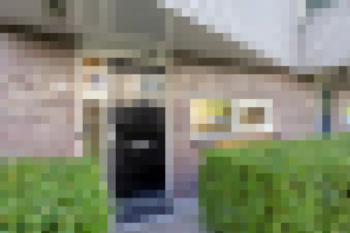 Ringslang 25 Amersfoort thumbnail 8