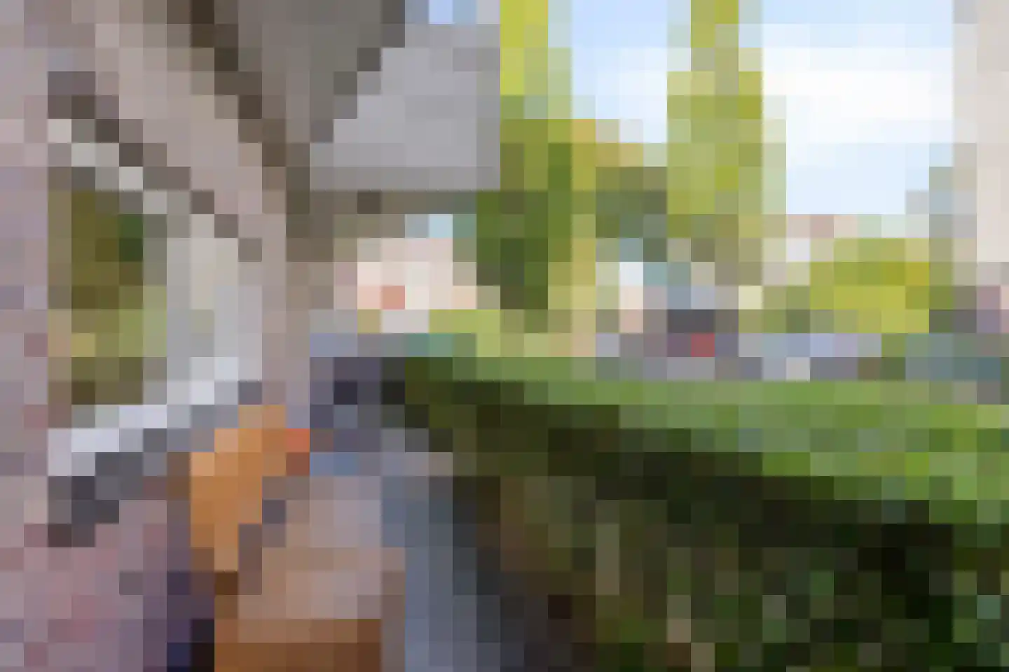 Ringslang 25 Amersfoort thumbnail 9