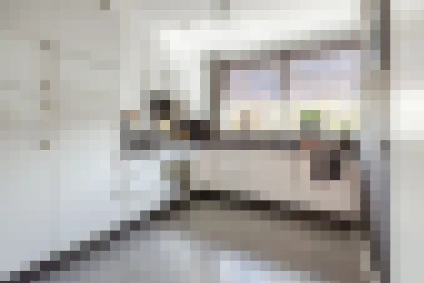 Ringslang 32 Amstelveen thumbnail 11