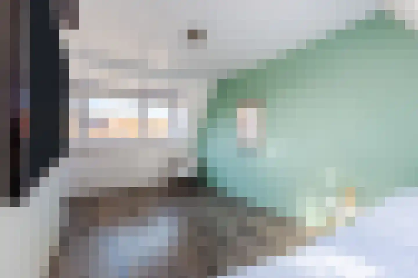 Ringslang 32 Amstelveen thumbnail 23