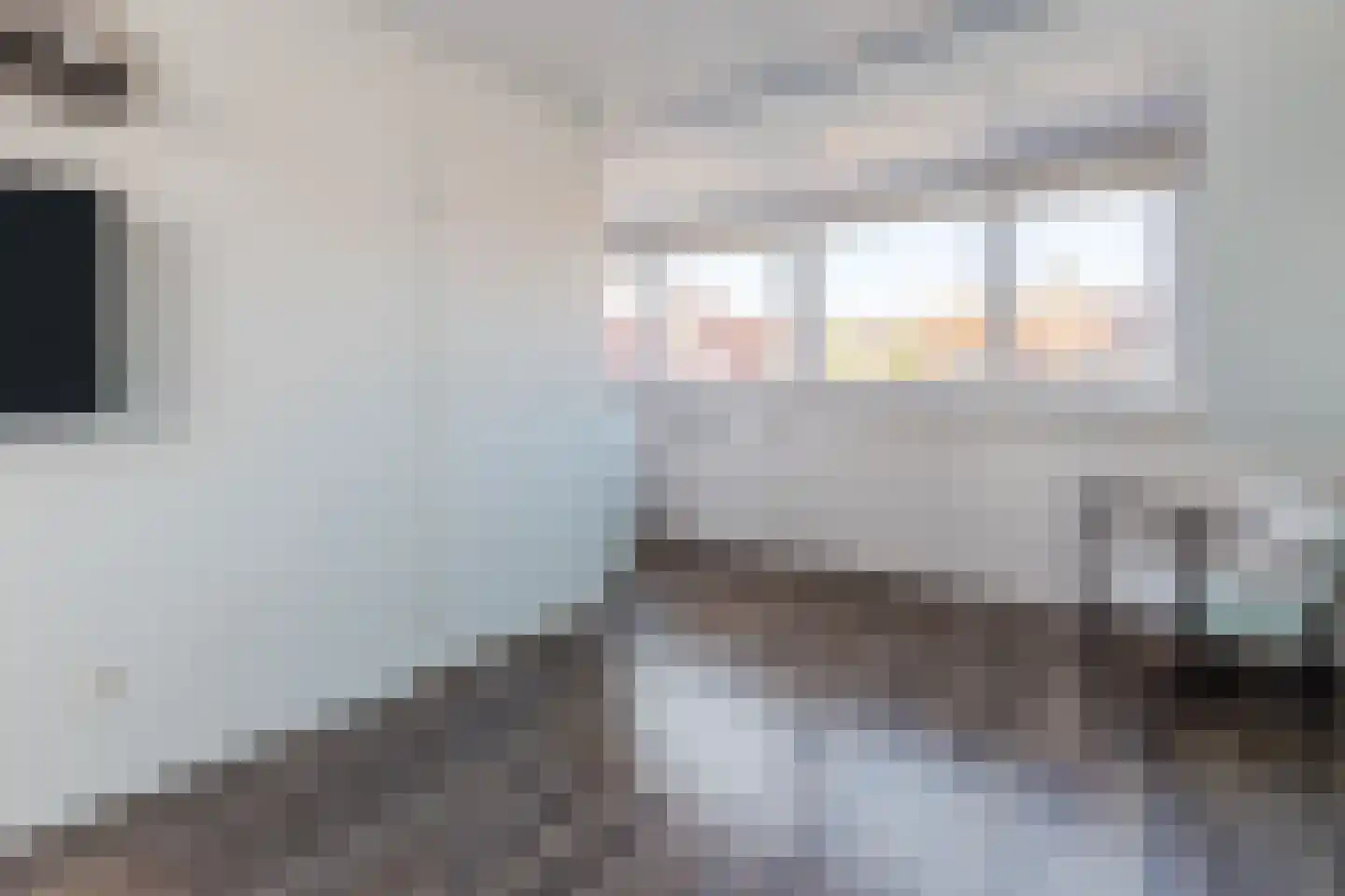Ringslang 32 Amstelveen thumbnail 24