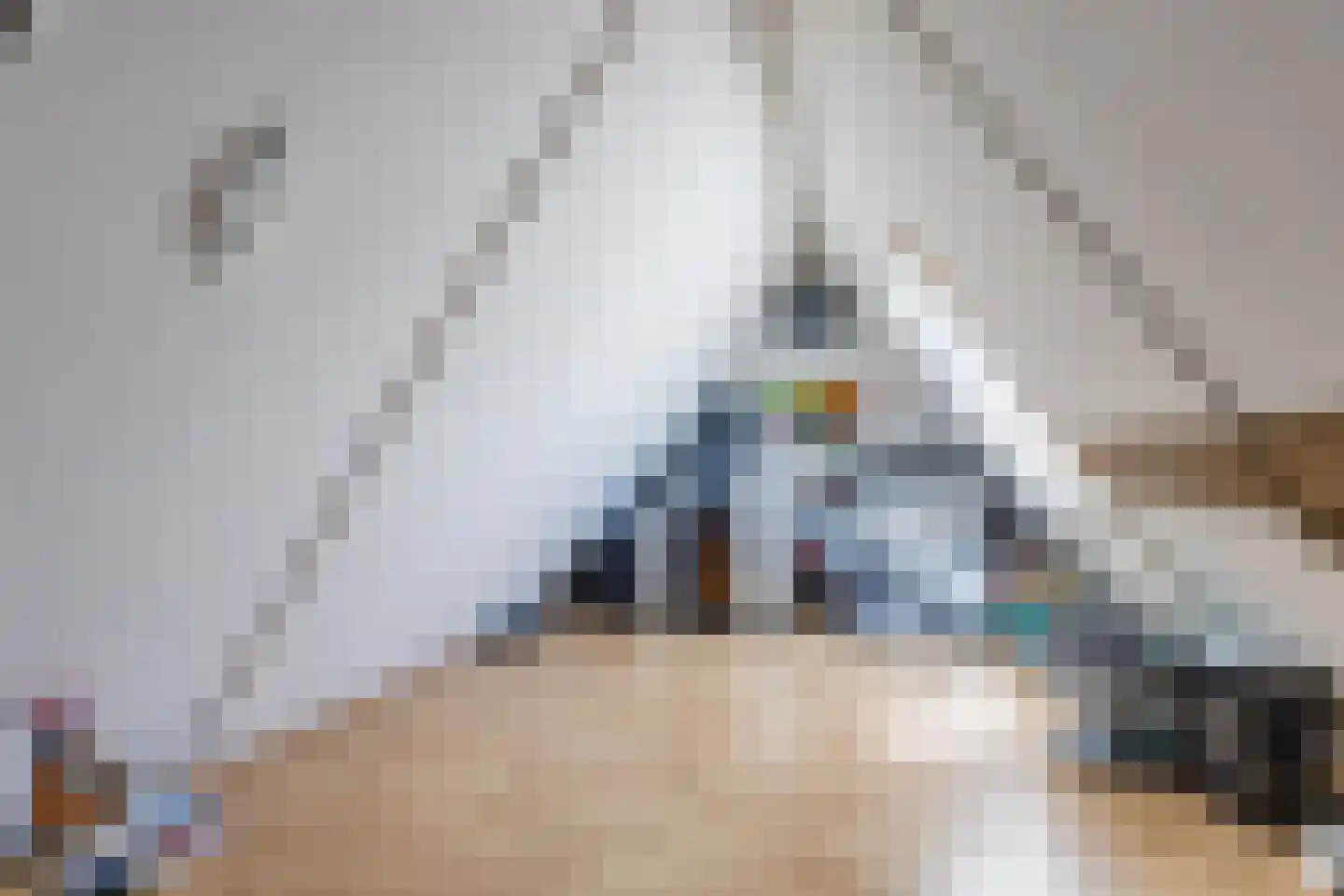 Ringslang 32 Amstelveen thumbnail 28