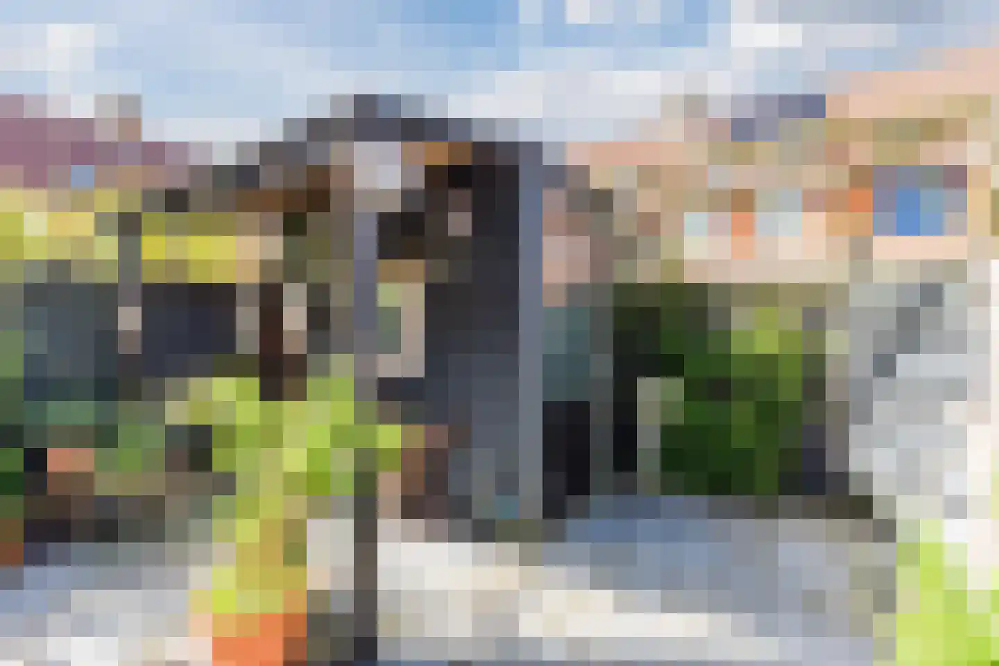 Ringslang 32 Amstelveen thumbnail 35