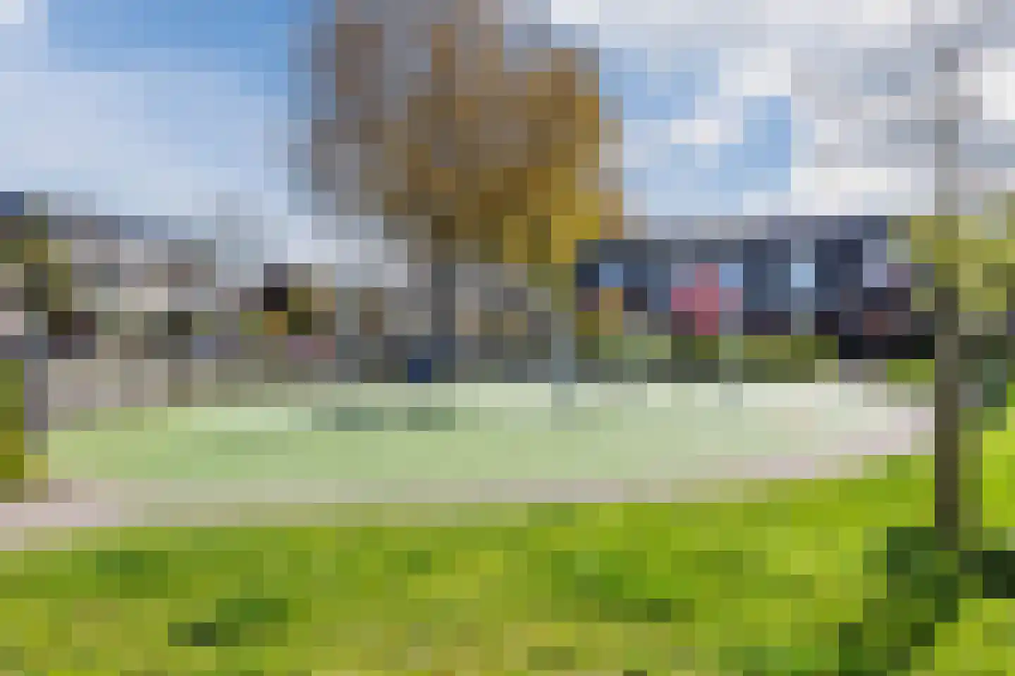 Ringslang 32 Amstelveen thumbnail 39