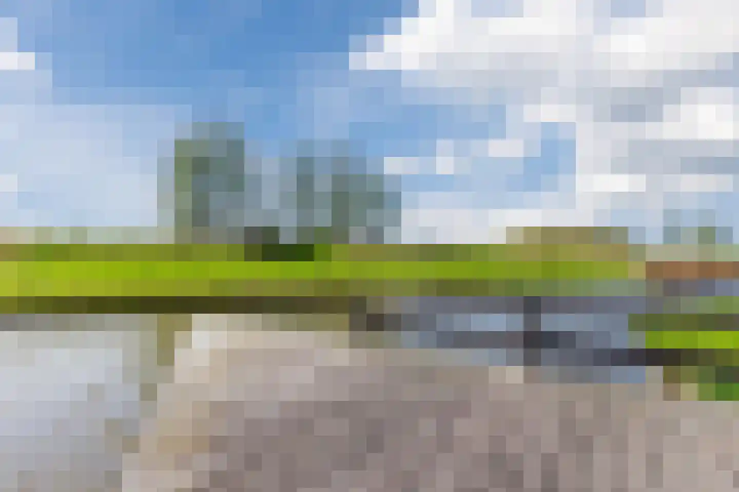 Ringslang 32 Amstelveen thumbnail 41