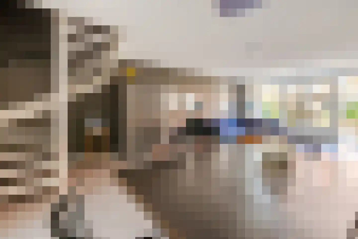 Ringslang 32 Amstelveen thumbnail 5