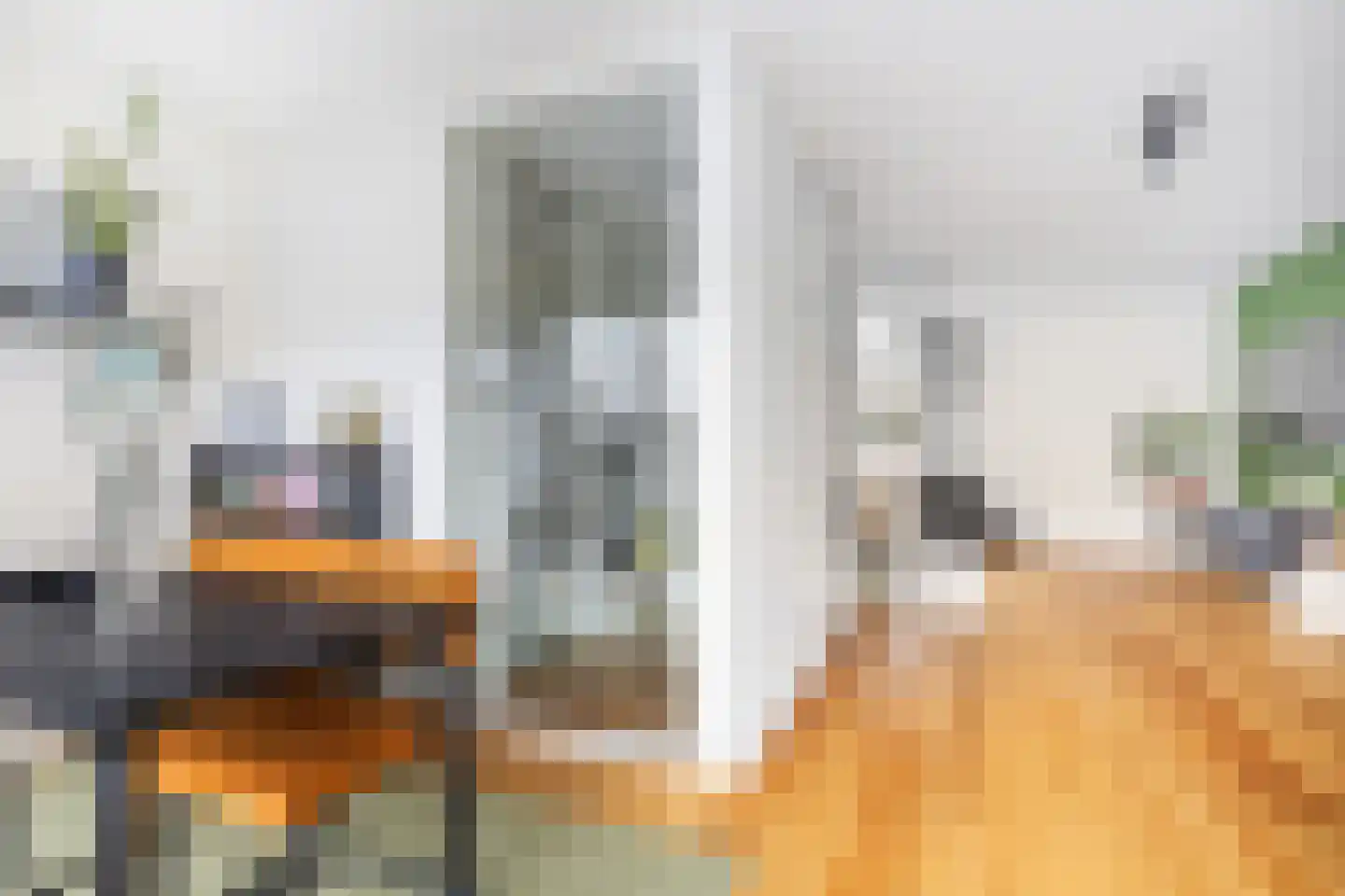 Ringslang 35 Amersfoort thumbnail 11