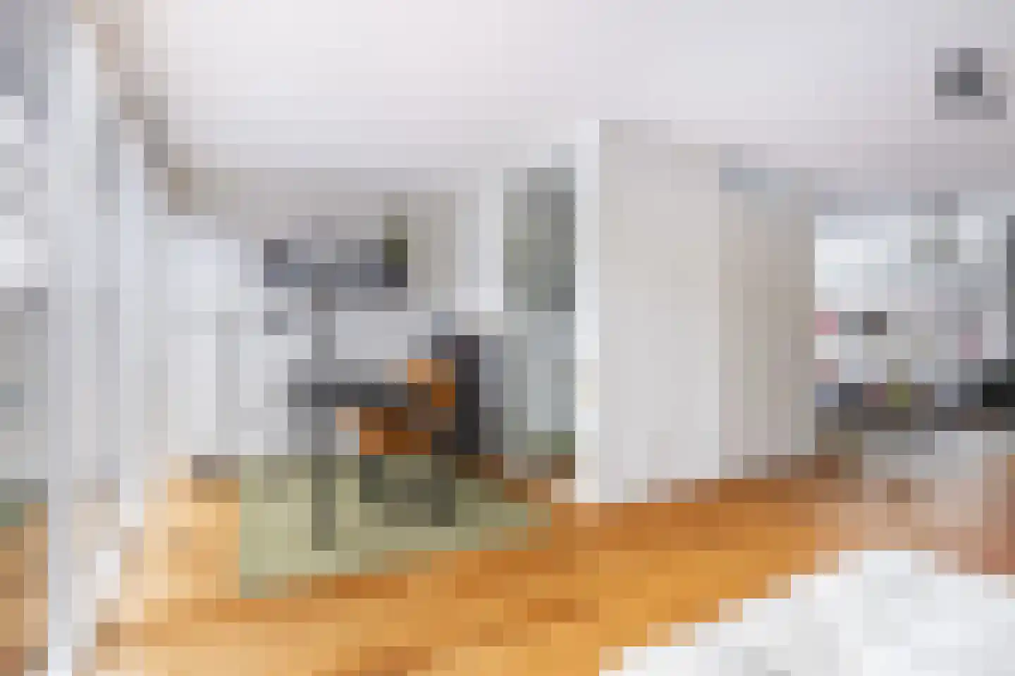 Ringslang 35 Amersfoort thumbnail 12