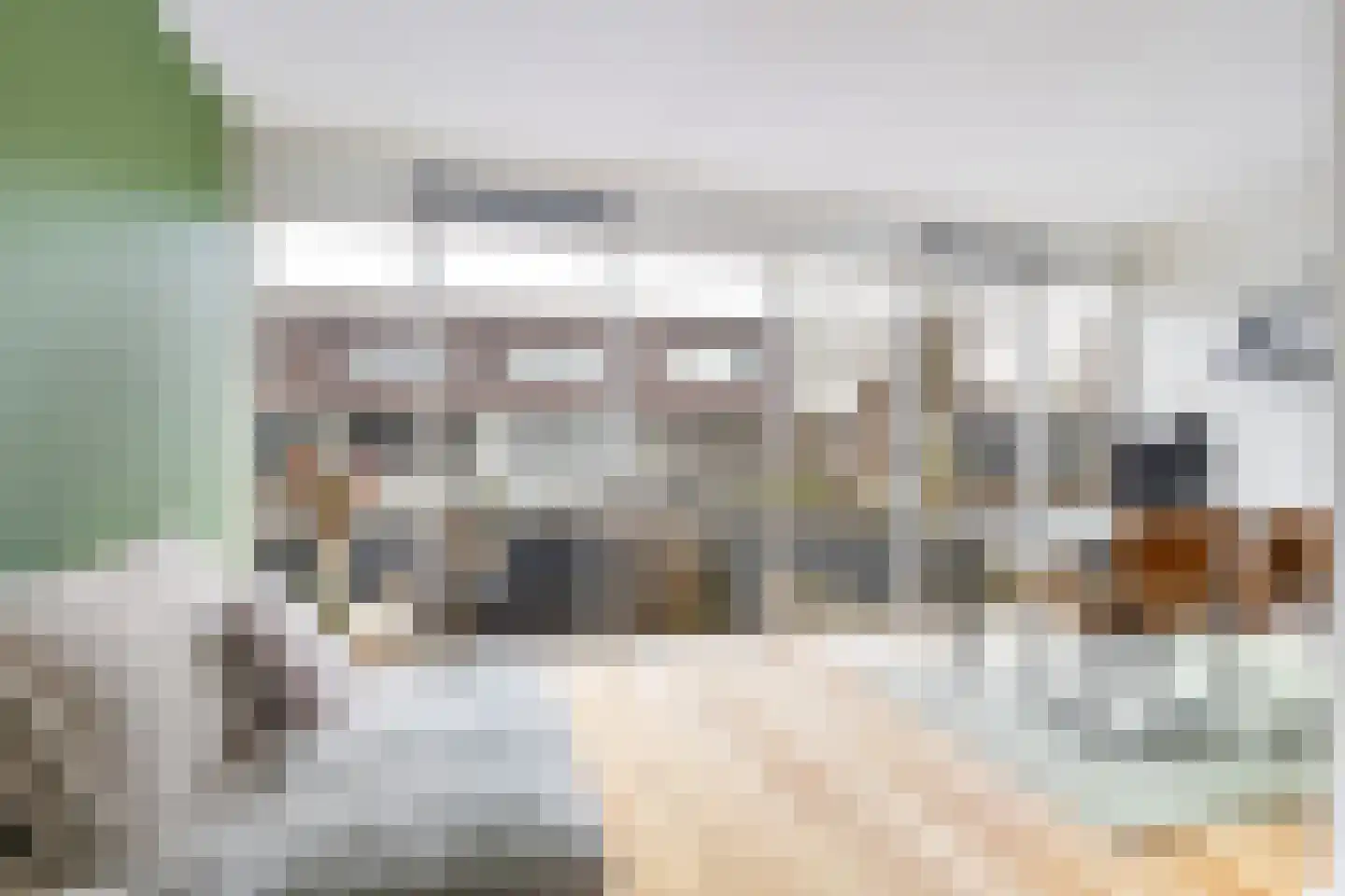 Ringslang 35 Amersfoort thumbnail 13