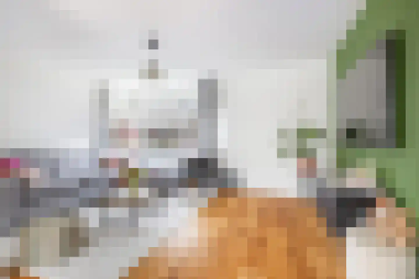 Ringslang 35 Amersfoort thumbnail 17