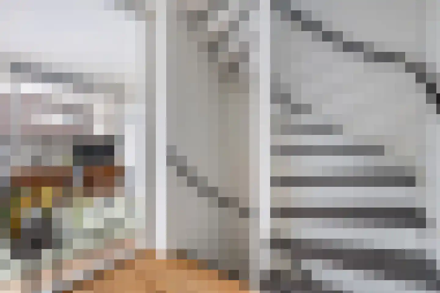 Ringslang 35 Amersfoort thumbnail 18