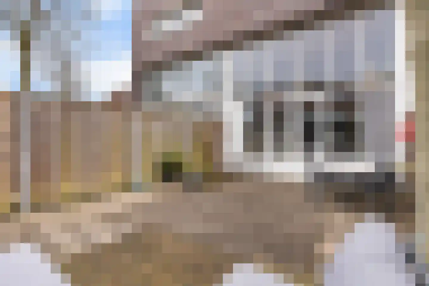 Ringslang 35 Amersfoort thumbnail 29