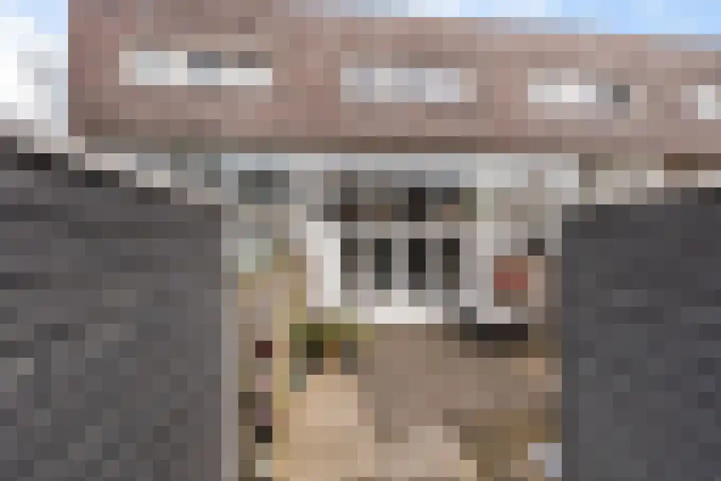 Ringslang 35 Amersfoort thumbnail 30