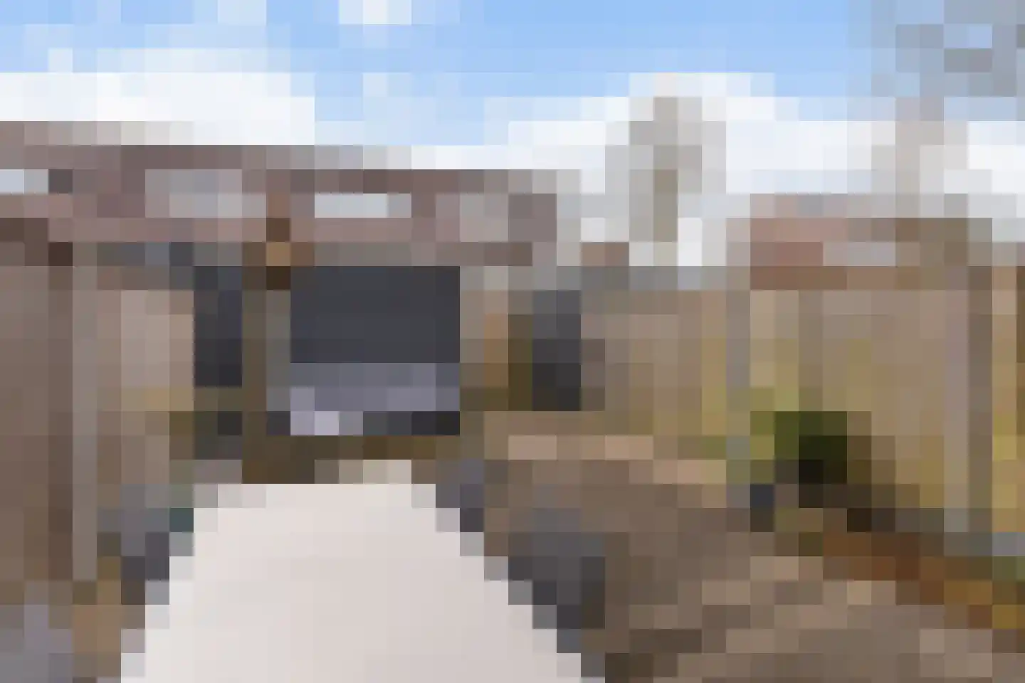 Ringslang 35 Amersfoort thumbnail 31