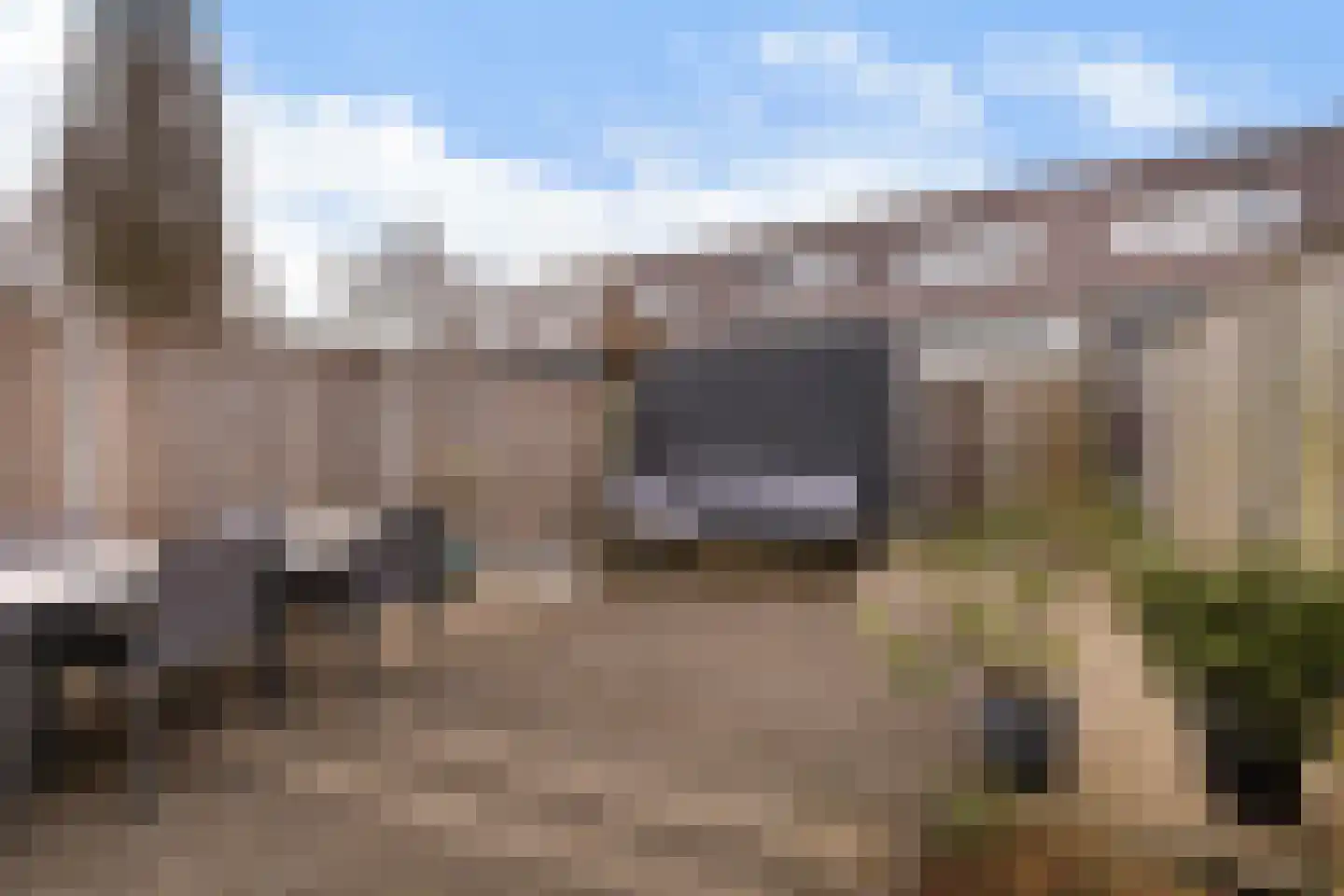 Ringslang 35 Amersfoort thumbnail 32