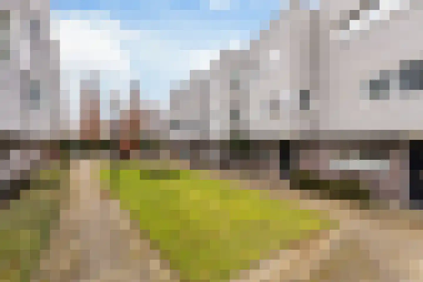 Ringslang 35 Amersfoort thumbnail 34