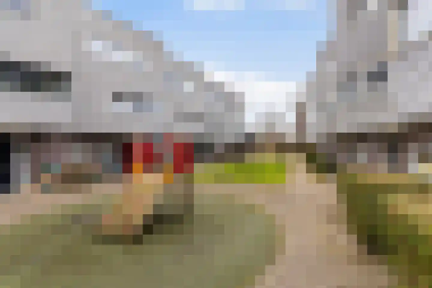Ringslang 35 Amersfoort thumbnail 35
