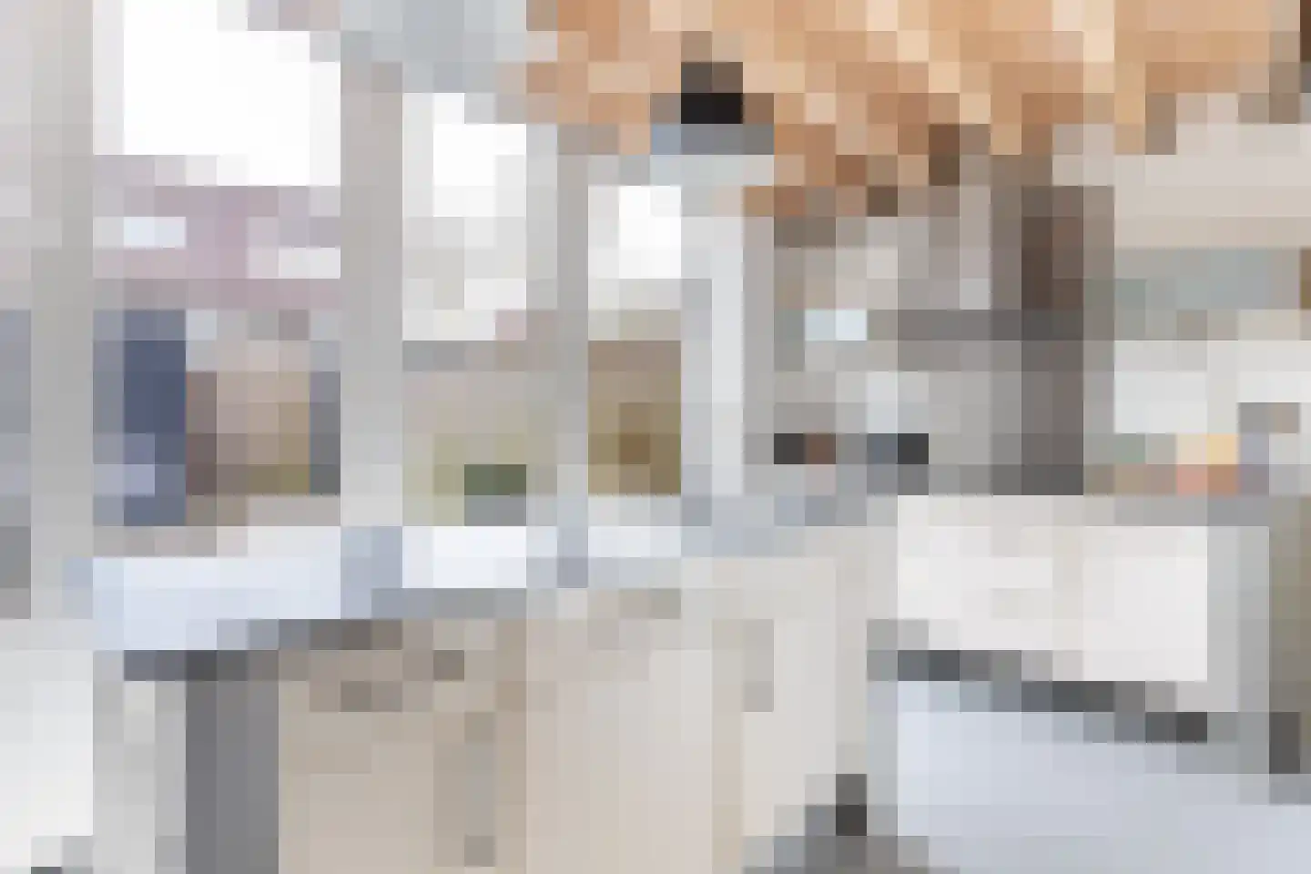 Ringslang 35 Amersfoort thumbnail 4